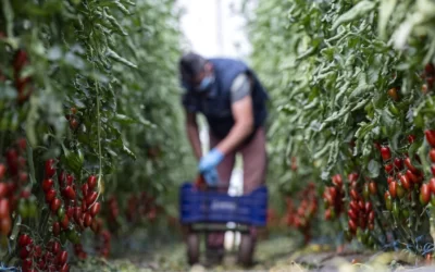 Lavoro nero e caporalato, giro d’affari 68 miliardi in Italia