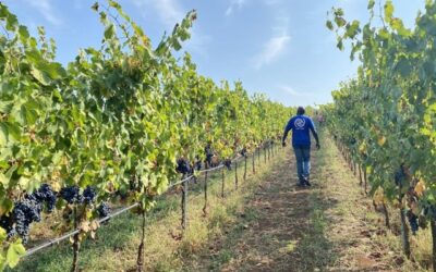 Sfruttamento lavorativo, il 70% delle vittime sono regolari. In forte aumento le inchieste al Nord