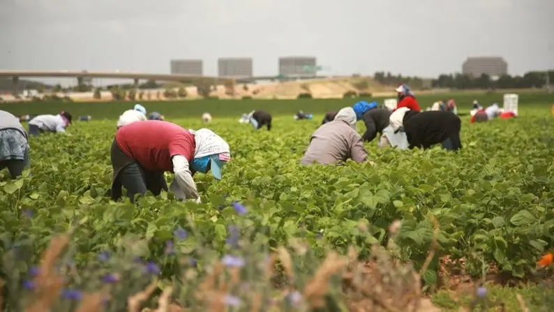 Dichiarazione ALS- MCL sui Recenti Controlli nei Campi Agricoli